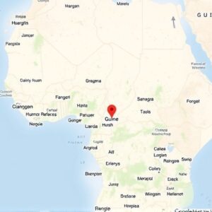 Buy Google Map Reviews in Guinea