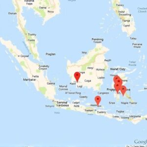 Buy Google Map Reviews in Indonesia