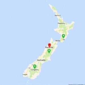 Buy Google Map Reviews in NZ