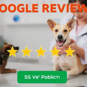 Buy Google Reviews for Veterinary Clinics