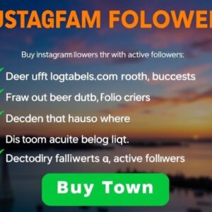 buy instagram followers with active followers