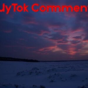 Buy Tiktok Comments in SE