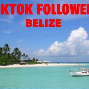 Buy Tiktok Followers in Belize: Boost Your TikTok Presence Instantly!