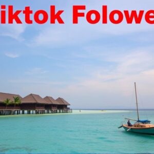 Buy Tiktok Followers in Maldives