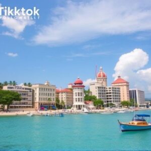 Buy Tiktok Followers in Palau