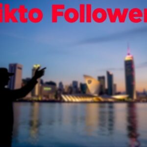 Buy Tiktok Followers in SG