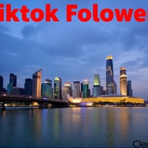 Buy Tiktok Followers in Singapore