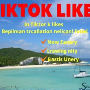 Buy Tiktok Likes in Dominican Republic: Boost Your Social Credibility Instantly