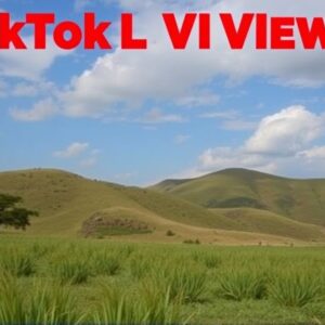 Buy TikTok Live Viewers in Kenya