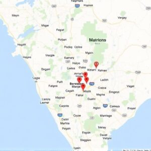 Google Map Reviews