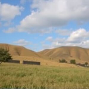 Buy Tiktok Comments in Eswatini (Swaziland)